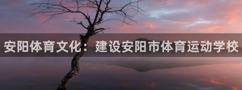 MK体育官网下载平台注册要钱吗：安阳体育文化：建设安阳市体育