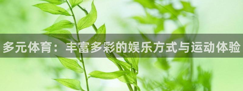 MK体育官方正版app集团官网首页：多元体育：丰富多