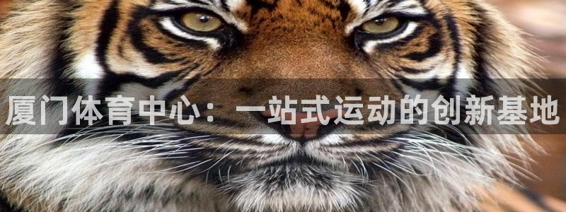 MK体育官网下载平台是正规平台吗安全吗：厦门体育中心：一站式