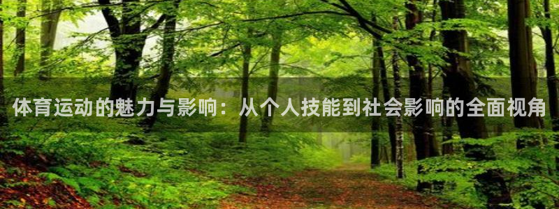 MK体育官方正版app娱乐：体育运动的魅力与影响：从个人技能