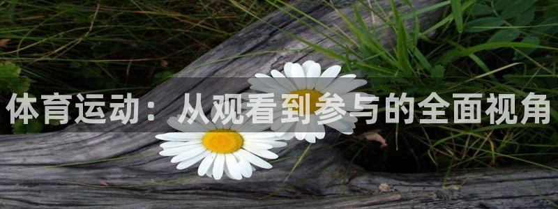 MK体育官方正版app新能源：体育运动：从观看到参与的全面视