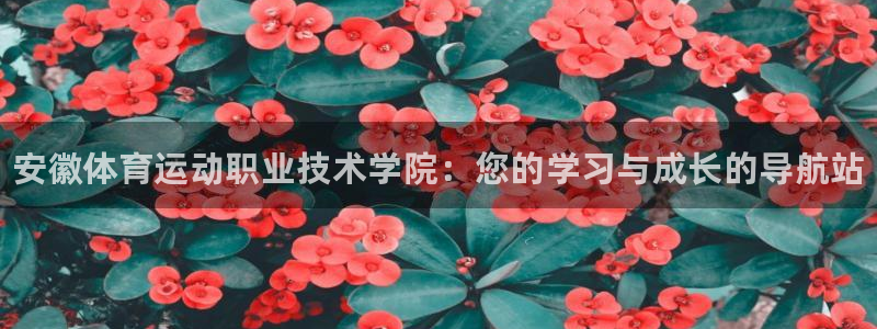 MK体育官方正版app科技