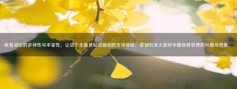 MK体育官方正版app娱乐40996：体育运动的多样