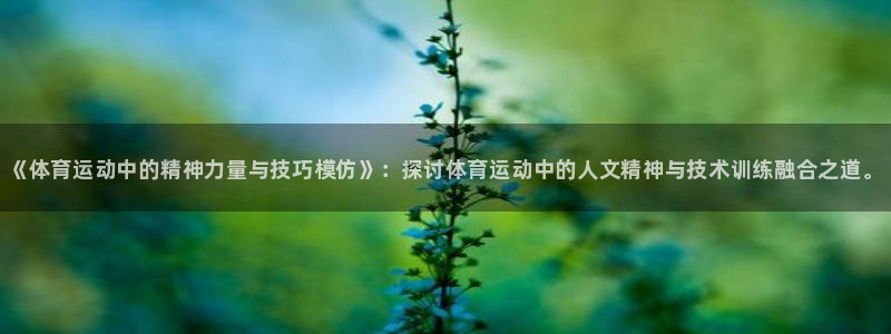 MK体育官网下载平台：《体育运动中的精神力量与技巧模