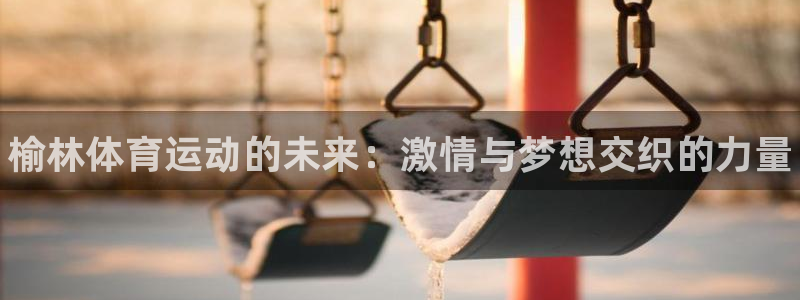 MK体育官方正版app科技：榆林体育运动的未来：激情