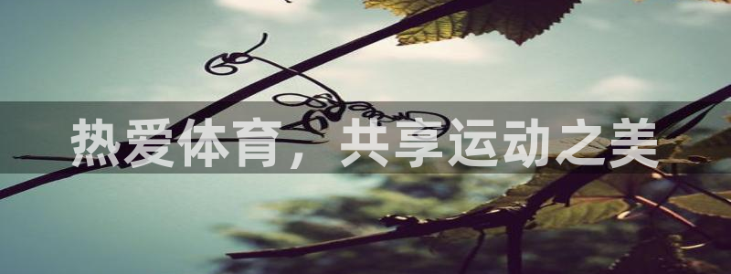 MK体育官网下载平台注册流程图：热爱体育，共享运动之