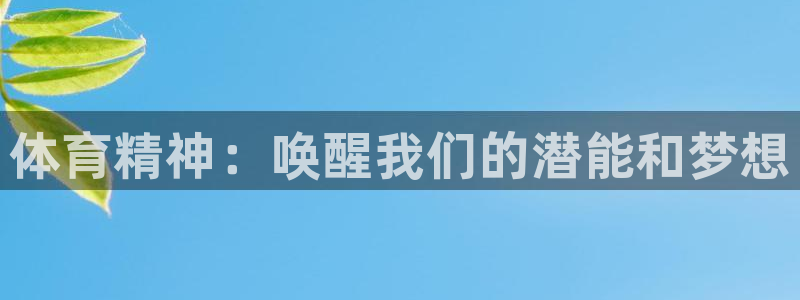 MK体育官网下载是干嘛的公司：体育精神：唤醒我们的潜