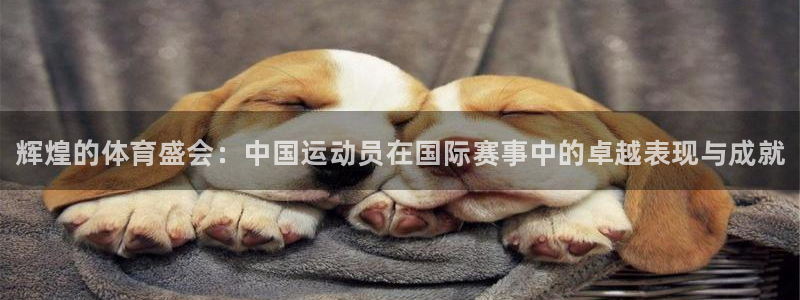 MK体育官方正版app集团官网首页：辉煌的体育盛会：