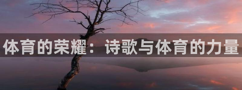 MK体育官方集团官网：体育的荣耀：诗歌与体育的力量